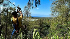Man in a zipline harness gliding through a forest